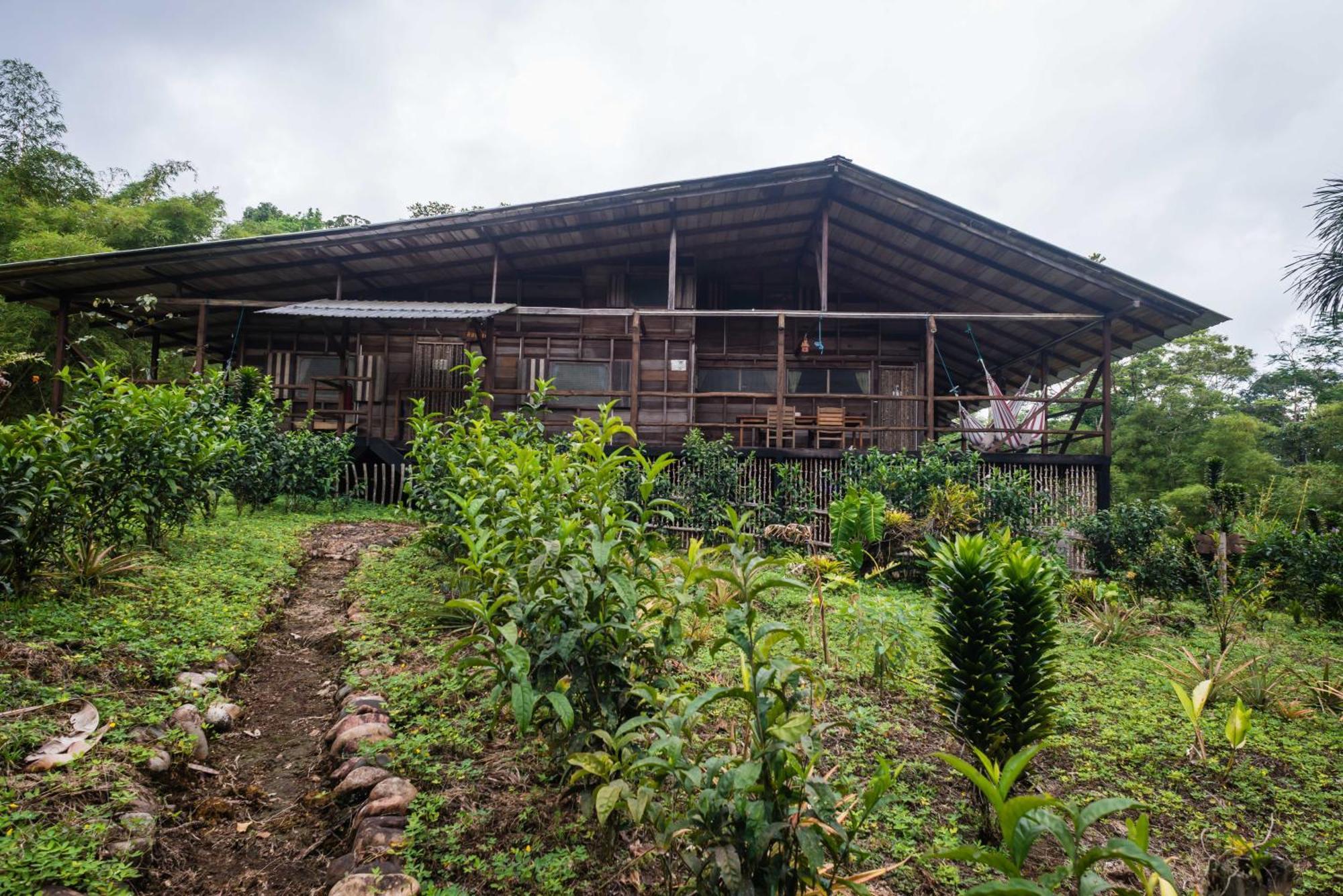 Hakuna Matata Amazon Lodge Archidona Quarto foto
