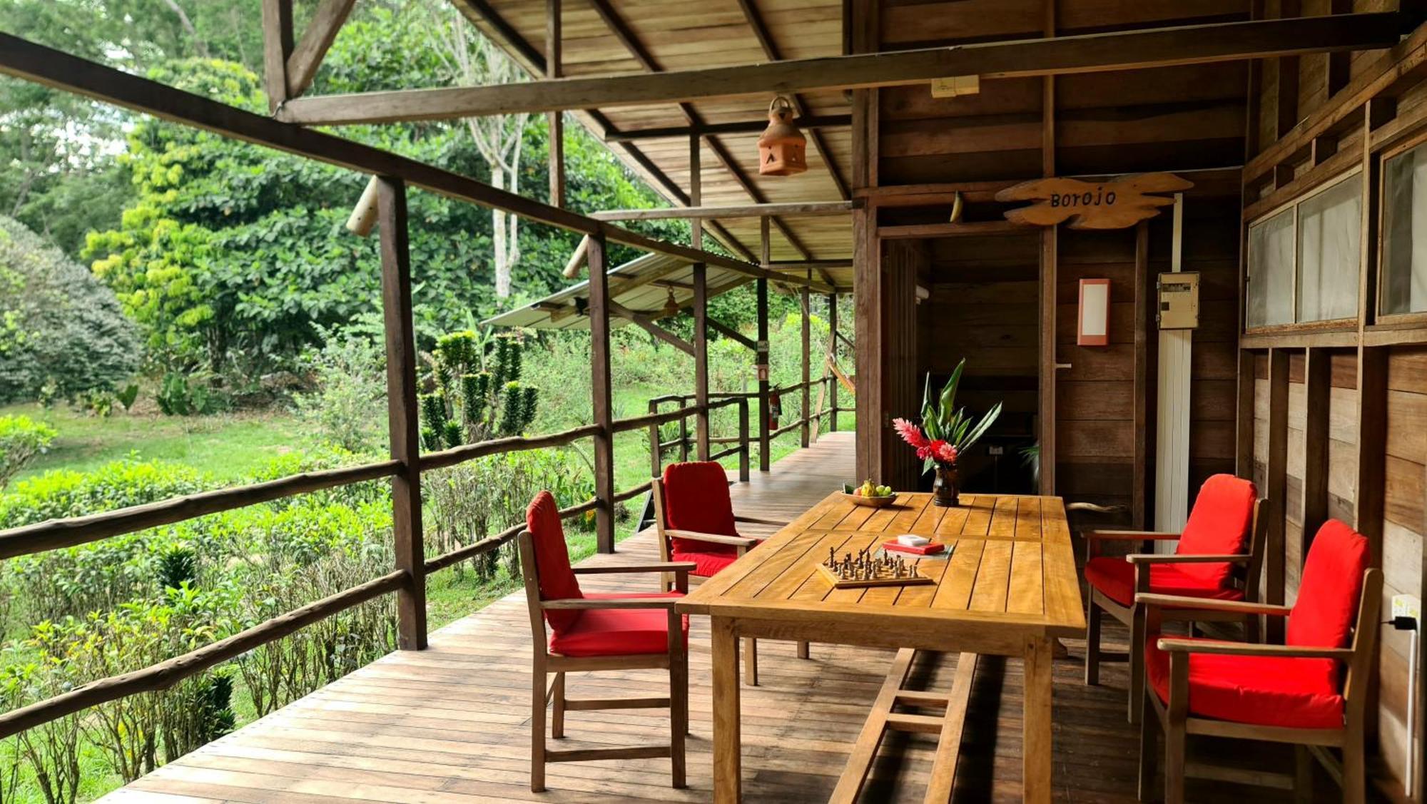 Hakuna Matata Amazon Lodge Archidona Exterior foto