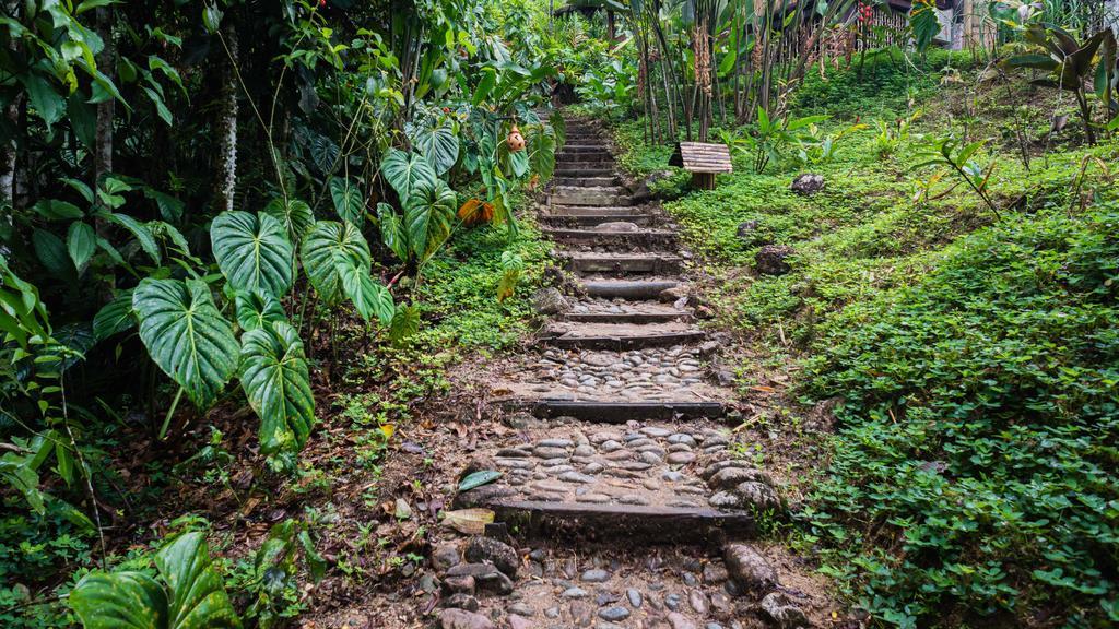 Hakuna Matata Amazon Lodge Archidona Exterior foto